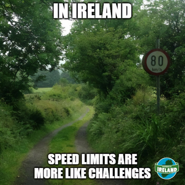 Narrow rural road in Ireland surrounded by greenery with a humorous speed limit sign in a unique Ireland setting.