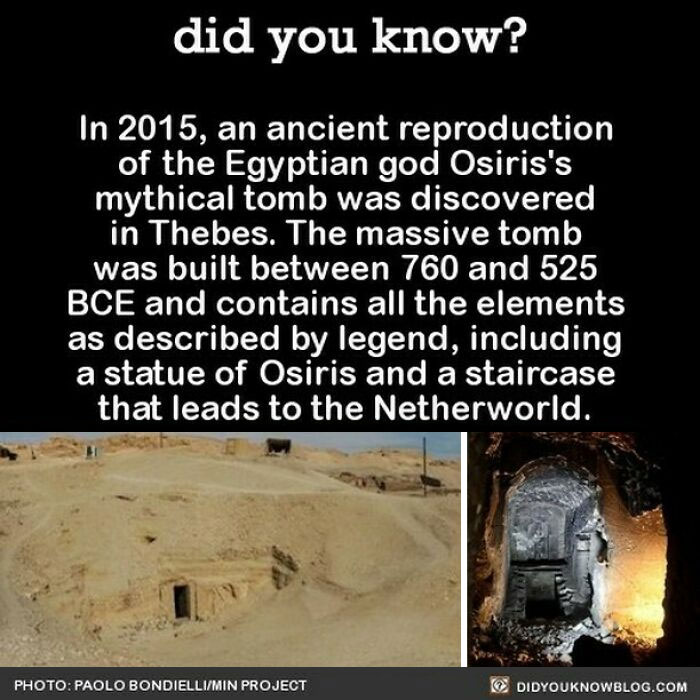 Learn-New-Facts-Did-You-Know