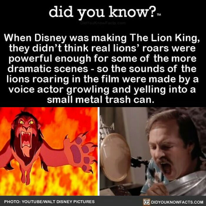 Learn-New-Facts-Did-You-Know