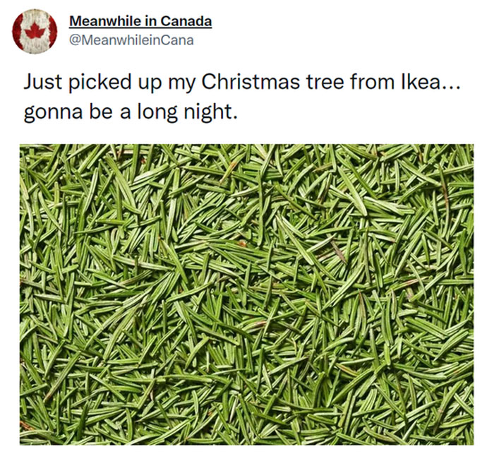 Meanwhile-In-Canada-Memes