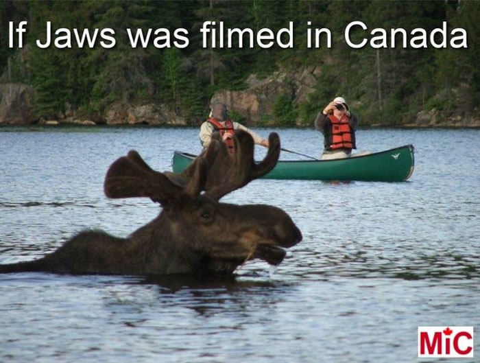 Moose in a lake with canoeists in Canada, referencing "Jaws" humorously, capturing the Canadian landscape.