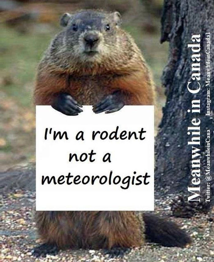 A groundhog holding a sign saying "I'm a rodent not a meteorologist," humorously reflecting Canada.