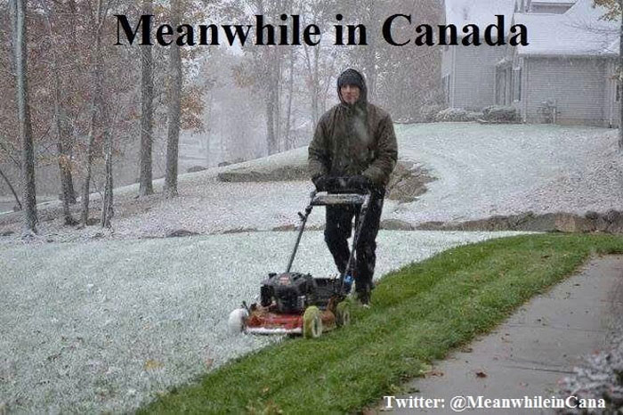 Meanwhile-In-Canada-Memes