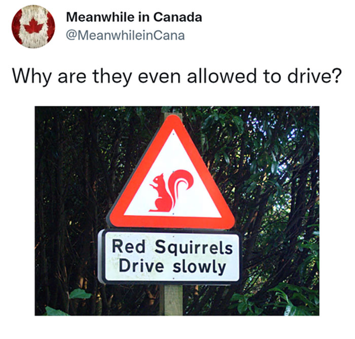 Meanwhile-In-Canada-Memes