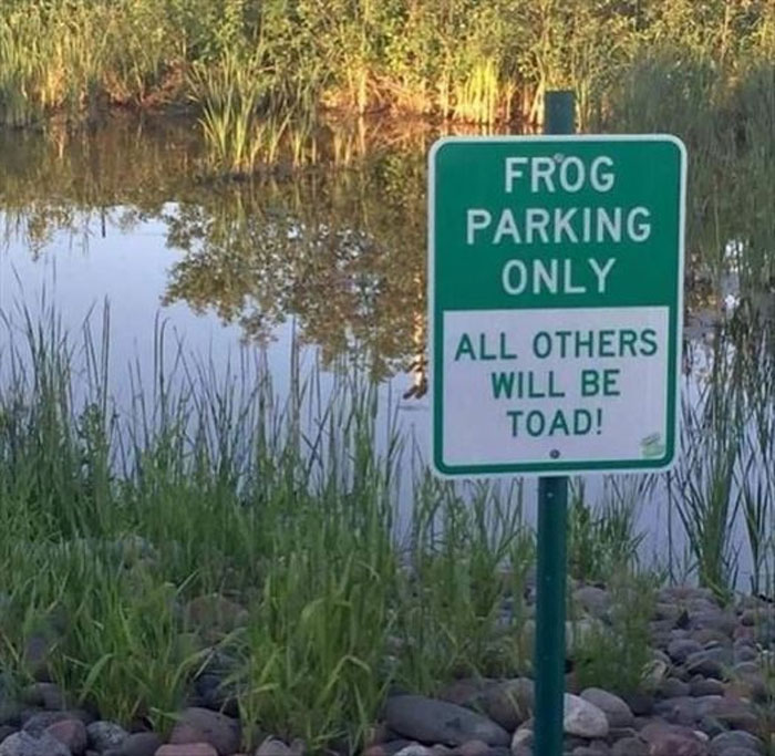 Sign by a pond in Canada reads "Frog Parking Only, All Others Will Be Toad," humorously reflecting Canadian culture.