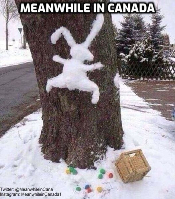 Snow shaped like a rabbit on a tree in Canada, with eggs and a basket on the ground.