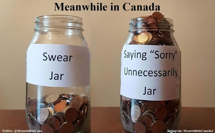 Two jars labeled "Swear" and "Saying 'Sorry' Unnecessarily," filled with coins, reflect Canadian memes.