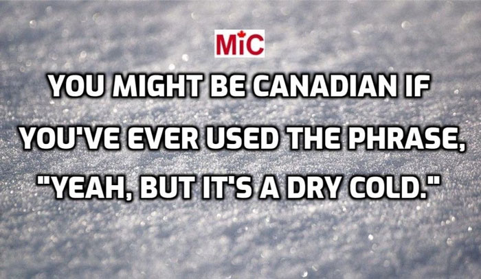 Canadian meme about cold weather, text says "You might be Canadian if you've ever used the phrase, 'Yeah, but it's a dry cold.'"