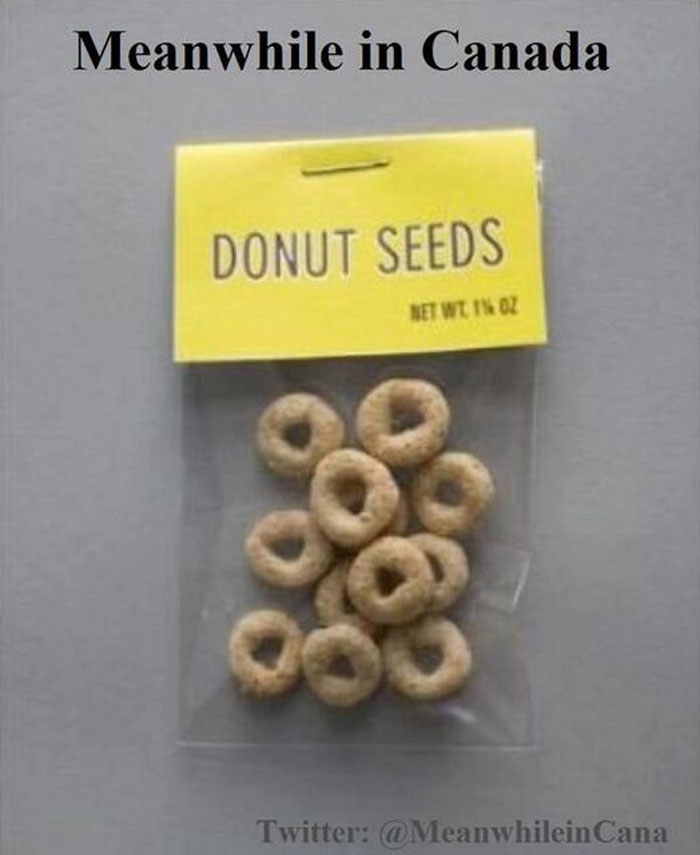 Meanwhile-In-Canada-Memes