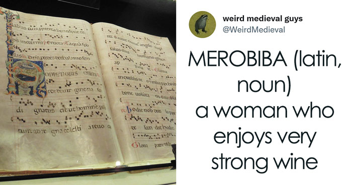 People Are Amused By These 23 Very Medieval Words That Either Sound Funny, Or They Mean Oddly Specific Things