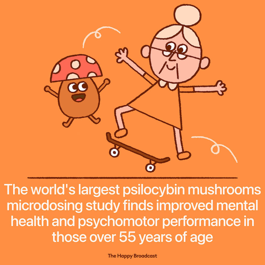 I’m Honestly Fed Up With All The Bad News, So I Illustrated 40 Of The Best Ones From 2022