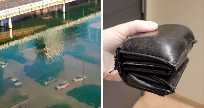 35 Imágenes “bastante interesantes” que terminaron por sorprendernos mucho