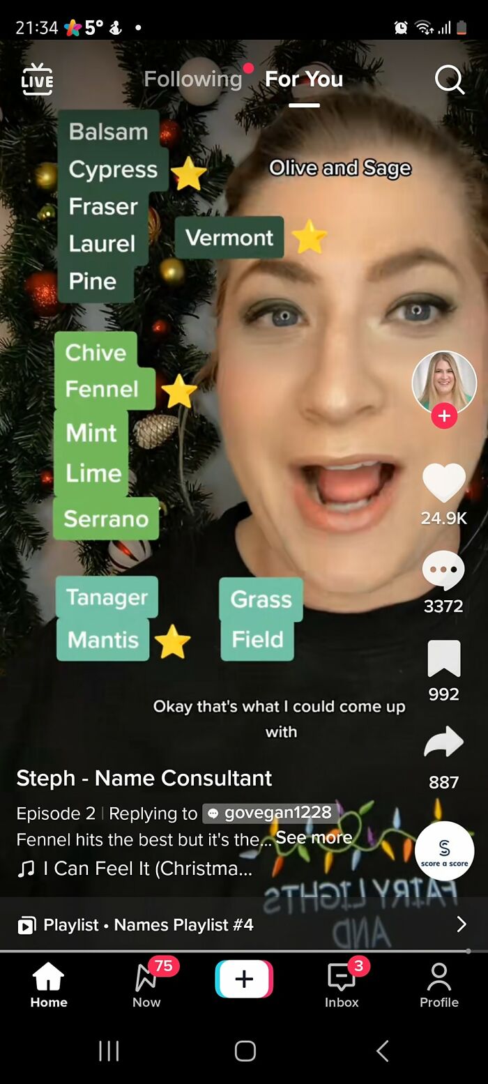 "Green" Themed Boy's Names (To Go With Existing Sisters Olive And Sage). Wtf? Chive?