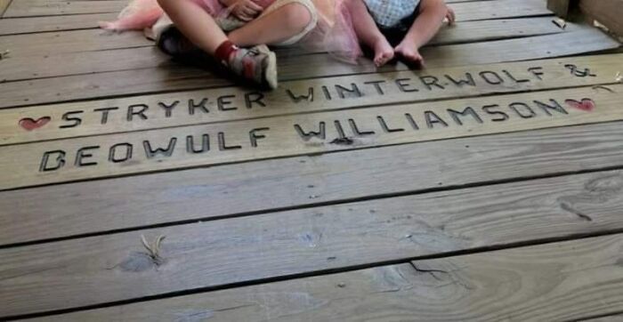 Not Sure Why But My Dog Is Going Absolutely Mad