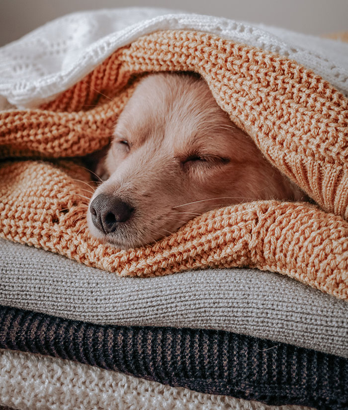 35 Underrated Christmas Gifts That Definitely Deserve More Hype, As Shared By People In This Thread