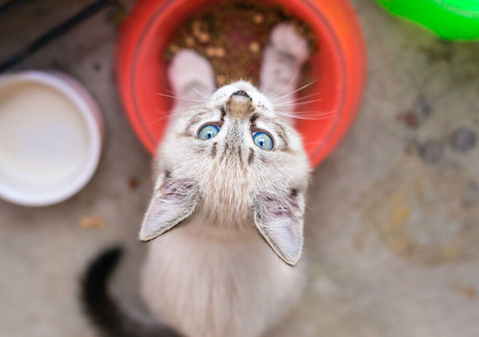 35 Underrated Christmas Gifts That Definitely Deserve More Hype, As Shared By People In This Thread