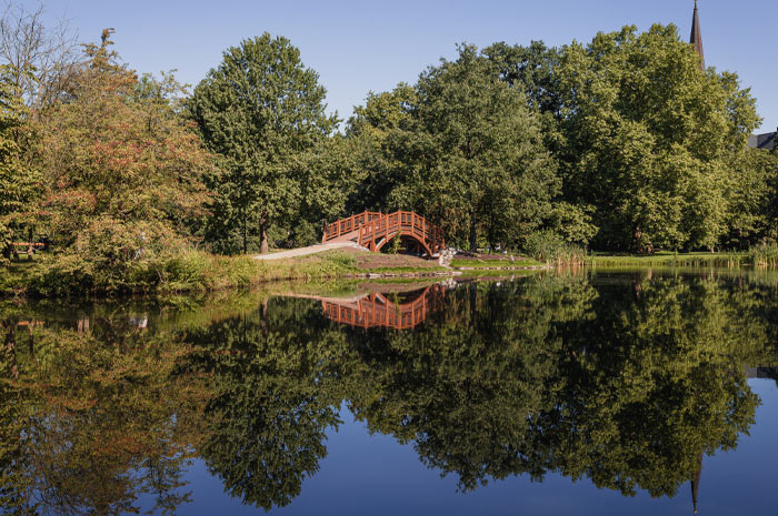 Johannapark bridge with forest near