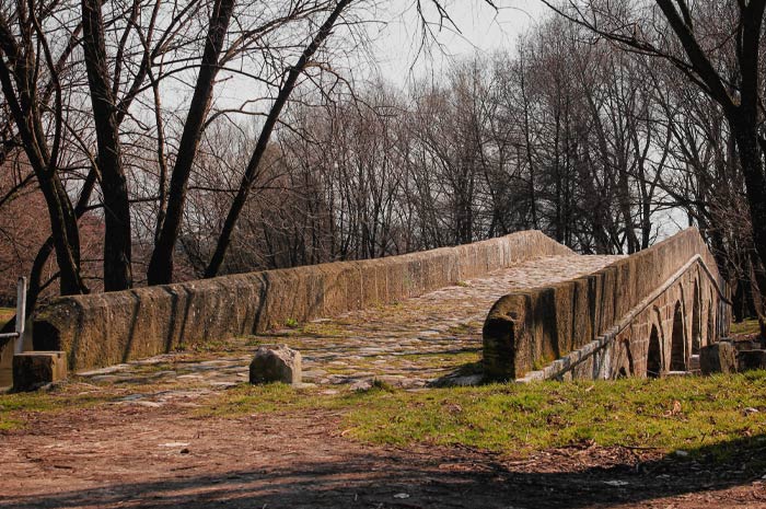 Rimski Most bridge with trees near