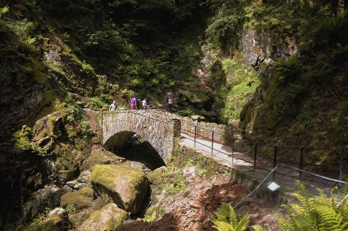 Aira Force Bridge with nature near
