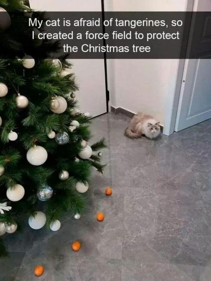 No-Context-Britain-Funny