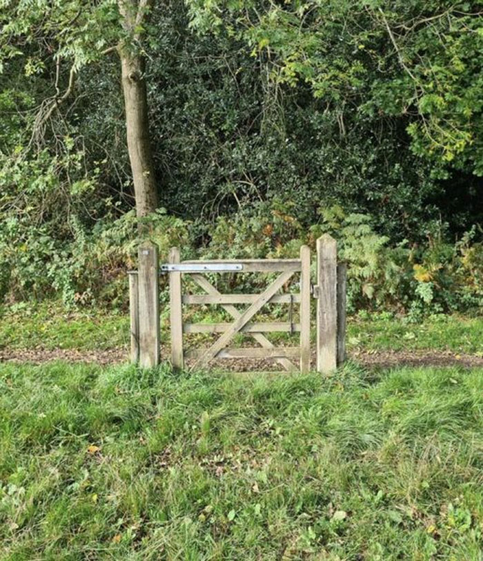 No-Context-Britain-Funny