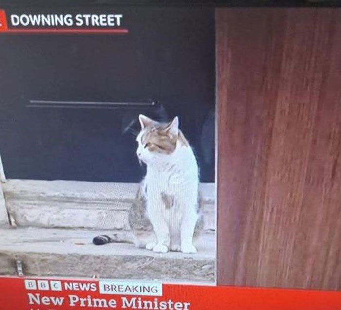 No-Context-Britain-Funny