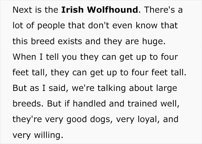 5 Worst Dog Breeds For First-Time Owners, As Shared By Trainer Of 10 Years 5 Worst Dog Breeds For First-Time Owners, As Shared By Trainer Of 10 Years