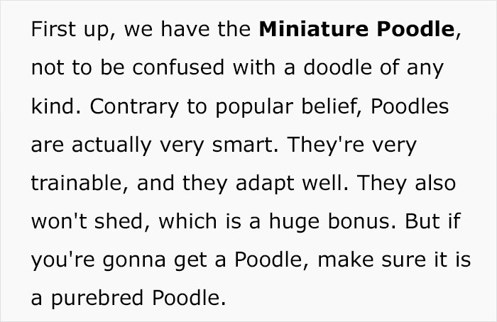 5 Worst Dog Breeds For First-Time Owners, As Shared By Trainer Of 10 Years 5 Worst Dog Breeds For First-Time Owners, As Shared By Trainer Of 10 Years