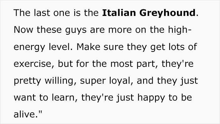 5 Worst Dog Breeds For First-Time Owners, As Shared By Trainer Of 10 Years 5 Worst Dog Breeds For First-Time Owners, As Shared By Trainer Of 10 Years