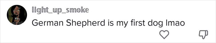 5 Worst Dog Breeds For First-Time Owners, As Shared By Trainer Of 10 Years 5 Worst Dog Breeds For First-Time Owners, As Shared By Trainer Of 10 Years