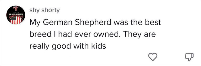 5 Worst Dog Breeds For First-Time Owners, As Shared By Trainer Of 10 Years 5 Worst Dog Breeds For First-Time Owners, As Shared By Trainer Of 10 Years