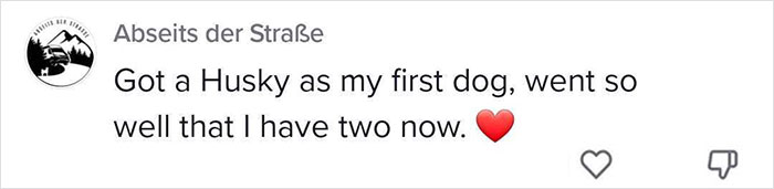 5 Worst Dog Breeds For First-Time Owners, As Shared By Trainer Of 10 Years 5 Worst Dog Breeds For First-Time Owners, As Shared By Trainer Of 10 Years