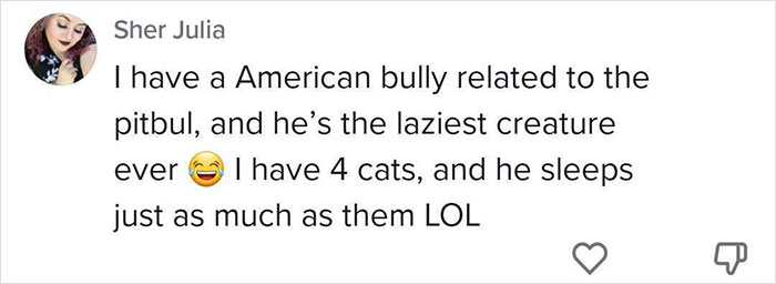 5 Worst Dog Breeds For First-Time Owners, As Shared By Trainer Of 10 Years 5 Worst Dog Breeds For First-Time Owners, As Shared By Trainer Of 10 Years