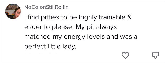 5 Worst Dog Breeds For First-Time Owners, As Shared By Trainer Of 10 Years 5 Worst Dog Breeds For First-Time Owners, As Shared By Trainer Of 10 Years