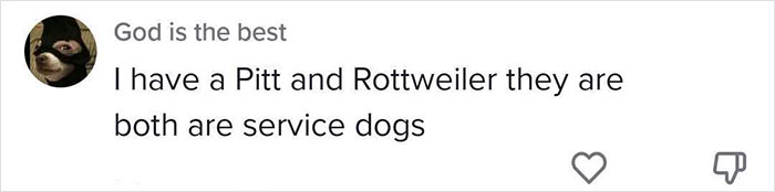 5 Worst Dog Breeds For First-Time Owners, As Shared By Trainer Of 10 Years 5 Worst Dog Breeds For First-Time Owners, As Shared By Trainer Of 10 Years