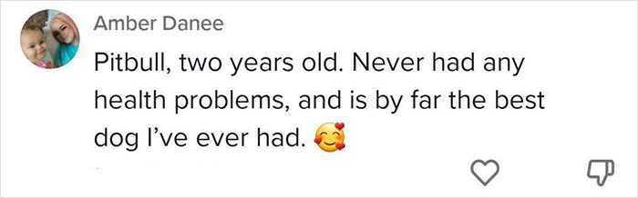 5 Worst Dog Breeds For First-Time Owners, As Shared By Trainer Of 10 Years 5 Worst Dog Breeds For First-Time Owners, As Shared By Trainer Of 10 Years