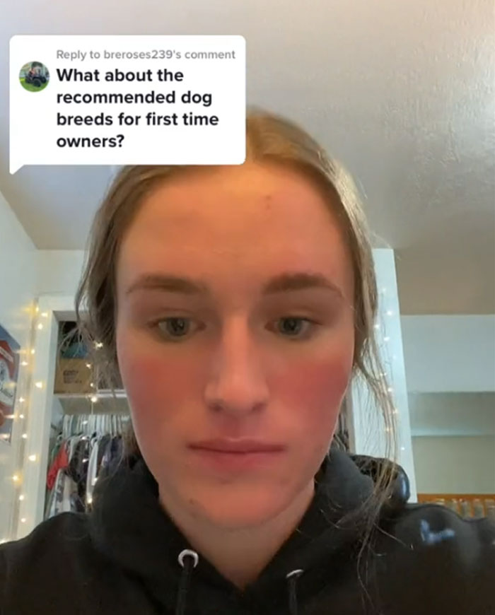 5 Worst Dog Breeds For First-Time Owners, As Shared By Trainer Of 10 Years 5 Worst Dog Breeds For First-Time Owners, As Shared By Trainer Of 10 Years