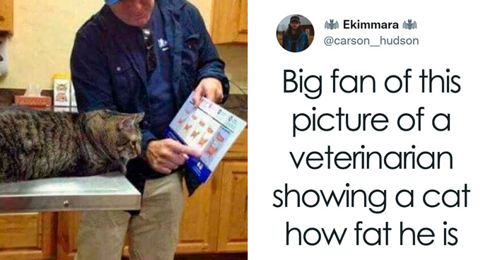 Almost 11M People Liked This Meme Page Called “Men’s Humor”, And Here Are 38 Of The Best Posts From It