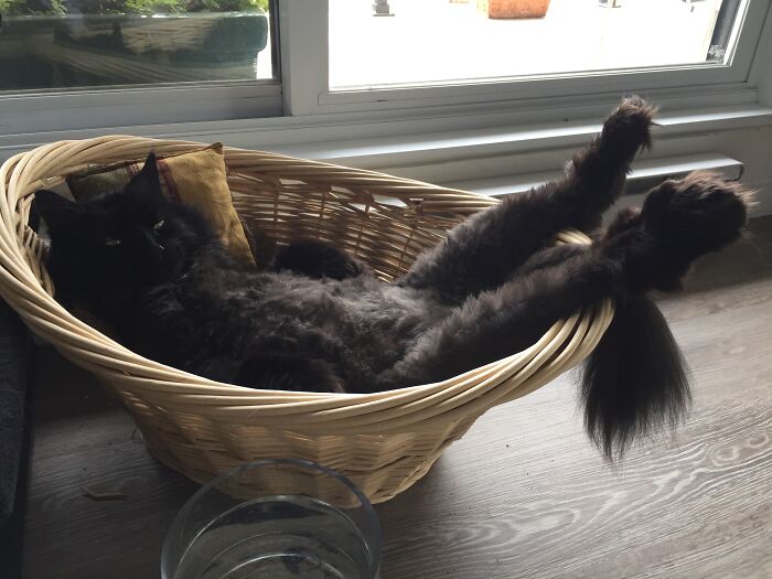 I'm Sexy And I Knowz'it!