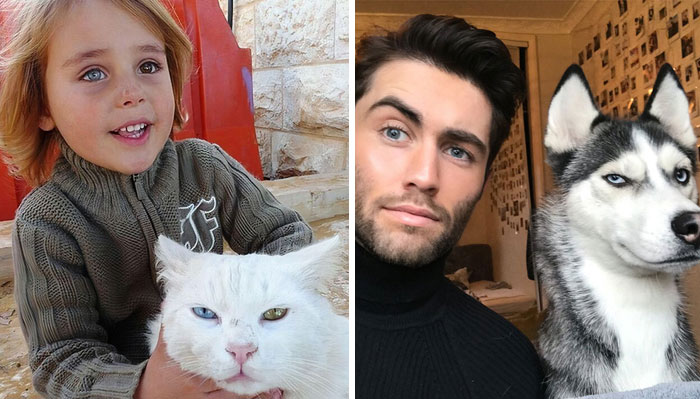 Estas fotos nos demostraron que las mascotas suelen parecerse a sus dueños