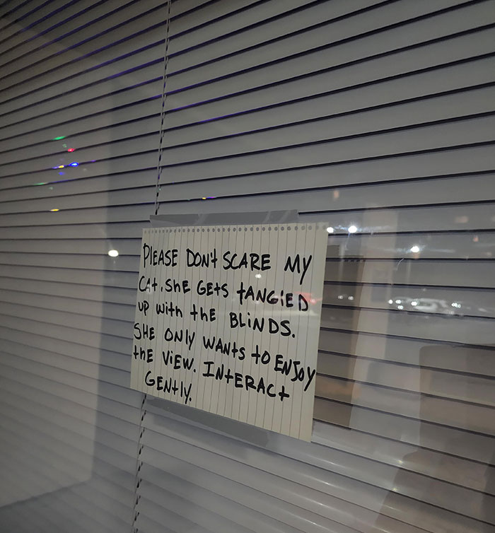 Sign On A First-Floor Apartment Of My Building. The Fact That The Owner Had To Write This Out Angers Me