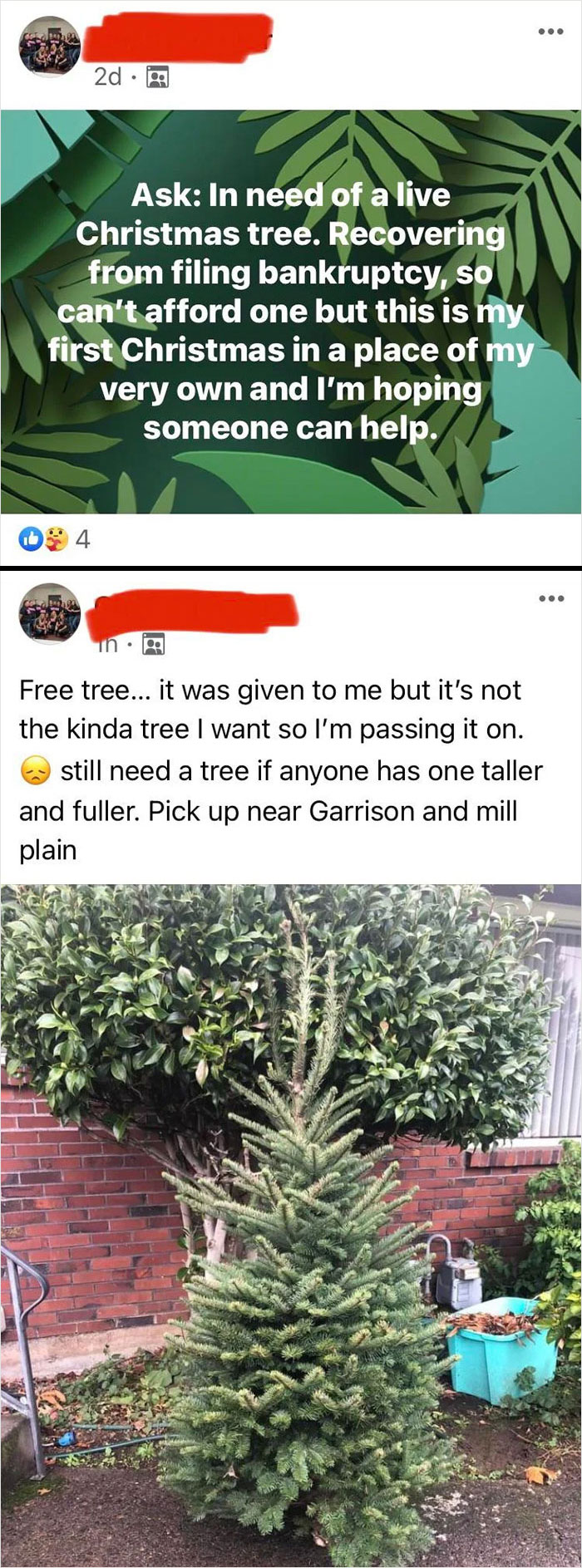 Free Christmas Isn’t Tall Or Full Enough