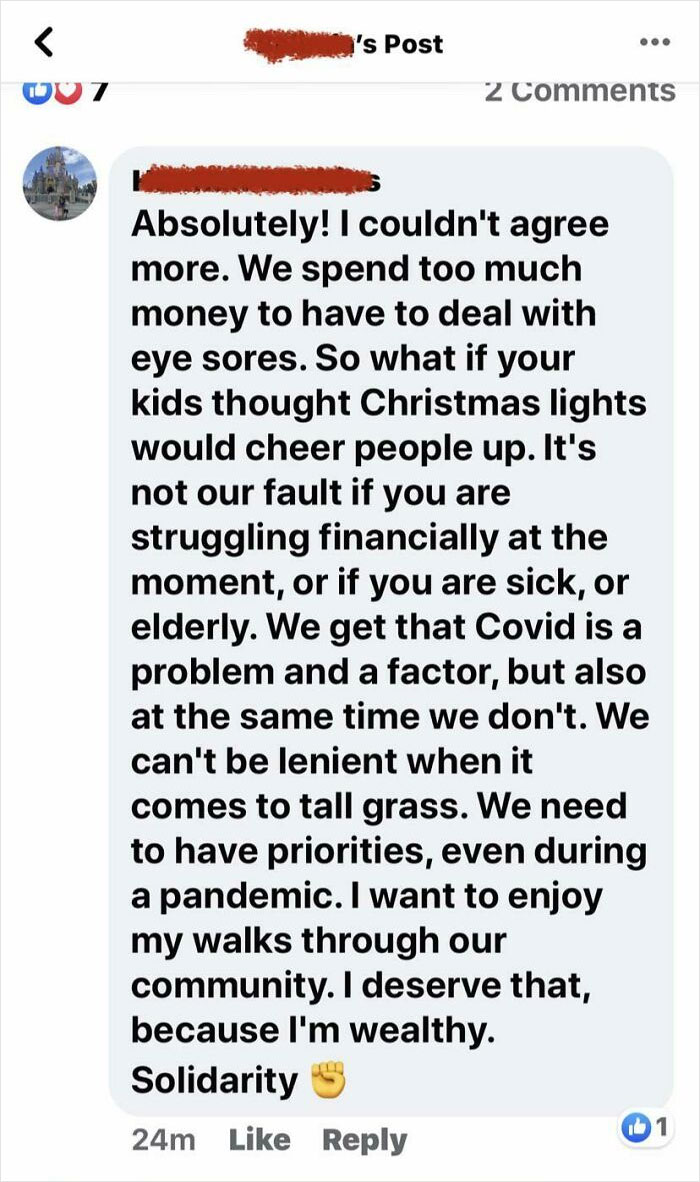 Some People Were Complaining About Grass And Christmas Lights