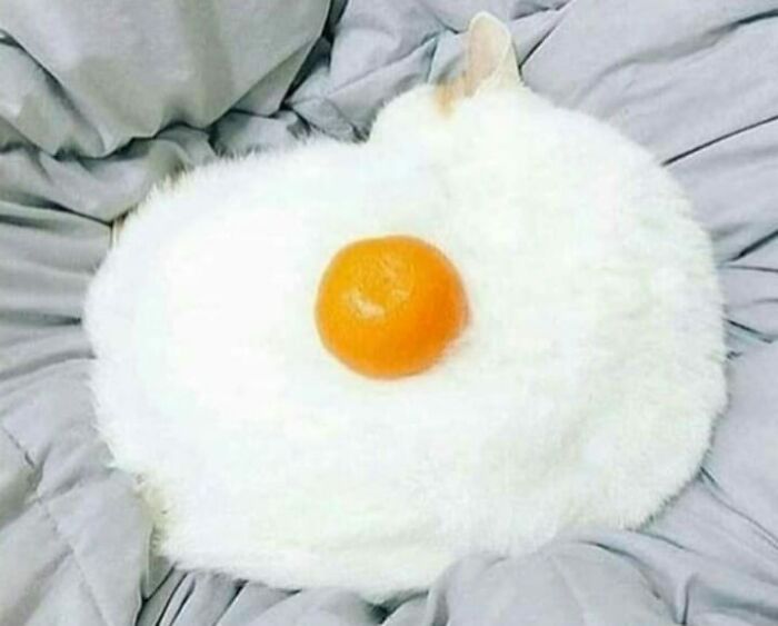 White cat curled up with an orange placed on its back, resembling a dish in a food rating Facebook group.