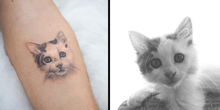 Pet tattoo of a cat's face on an arm, alongside a photo of the same cat.