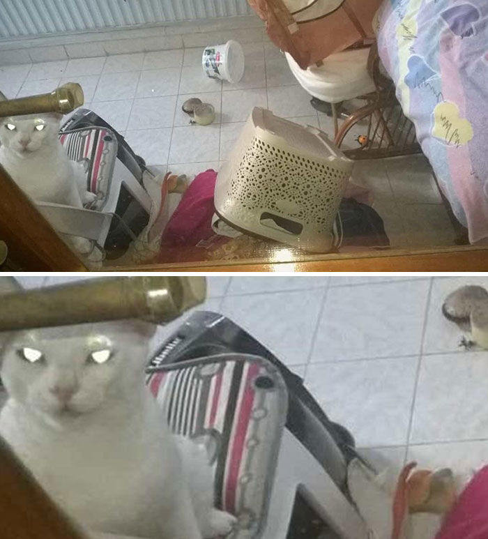 Because I Did Not Let Him In