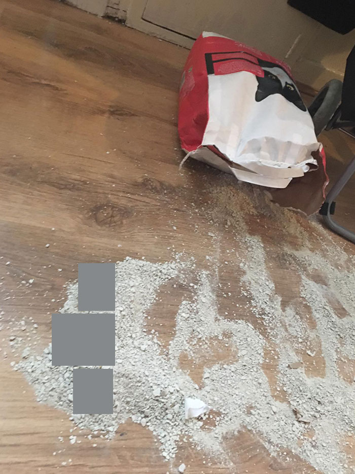 My Cat Couldn't Get To His Litter Box Because The Toilet Door Was Forgotten Closed At Night, So He Spilt The Litter Bag Himself And Pooped On It