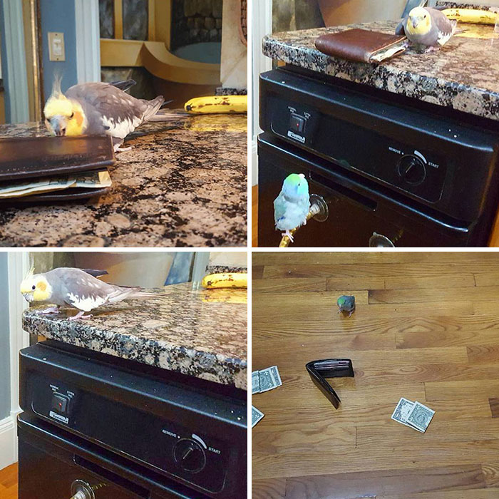 Hey, Peete, Remember That Time You Bit Me & Broke My Foot?