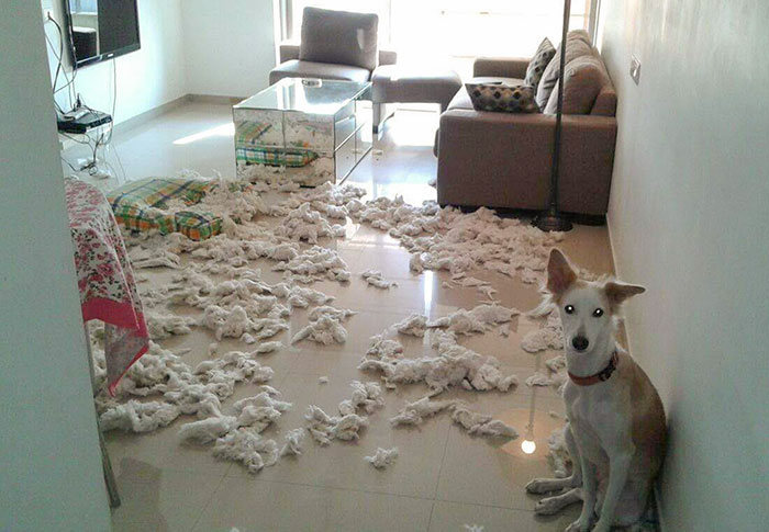 And If You Wrong Us, Shall We Not Revenge?