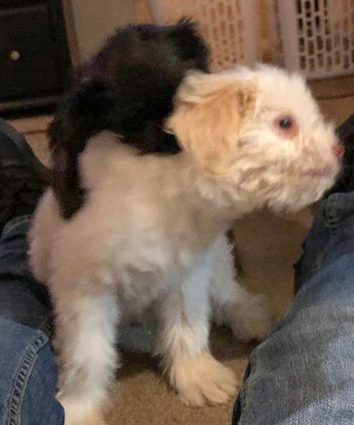 Ace Is Getting Revenge For The Food She Stole